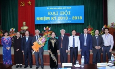 Peace Committee hailed for people-to-people diplomacy contribution - ảnh 1